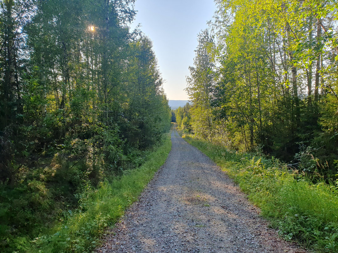 Metsätie